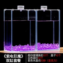 베타물고기 무환수어항 오란다금붕어 하프문베타 메다카 물고기키우기 베타어항 특수 탱크 울트라 화이트 유리 작은 이중, 퍼플 일렉트릭 매니악 더블 실린더 패키지