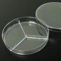 과학실험접시 3분할샬레 페트리디쉬 10개 실험기구 체험학습