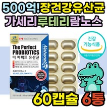 가세리 루테리 람노스 LGG 엘지지 500억 유산균 여성 식약처인증 락토바실러스 모유 유래 람노서스 RGG 100억 프로바이오틱스 장밀착 속편한 장내 유익균 미생물 과민성 대장 장누수