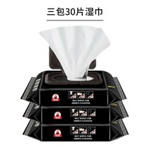 슈즈 클리너 신발 닦는 티슈 12p 30p 가죽신발 겸용 올인원 신발청소, 1개, E개