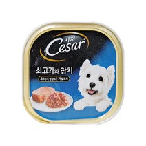시저 반려견 주식캔, 소+참치, 100g, 14개