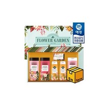 애경 선물세트 AK종합 퍼퓸 에디션 D2호 x5개 [1BOX], 1세트