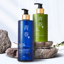 청춘 올인원 노인 홀애비 홀아비 냄새제거 바디 워시, 1개