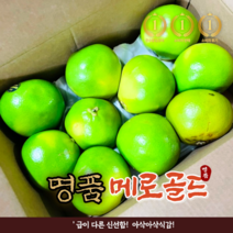 특품 신선한 당일선별 메로골드 8개16개 청자몽 대과 킹사이즈 스위티 그린 자몽, 8개, 8개