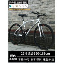 MTB자전거 하이브리드자전거 접이식자전거 성인자전거 가성비자전거 저렴한자전거 바구니자전거 25인치자전거, 옵션2