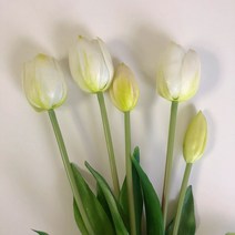 영이오브제 망고튤립 조화 5송이 묶음 8colors, 화이트