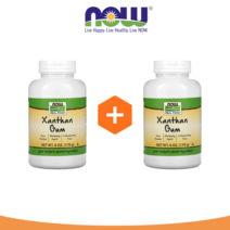 1+1 나우푸드 잔탄검 분말 170g 산탄검 크산탄검 xanthan gum