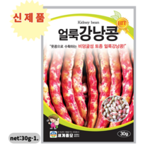 세계종묘 얼룩 강남콩씨앗30g-1봉 전통토종재래품종 비넝쿨성 많은꼬투리 높은저장성 풋콩으로수확