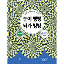 눈이 뱅뱅 뇌가 빙빙:신기하고 재미있는 착시의 과학, 다른
