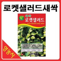 새싹로켓셀러드씨앗- 새싹무순 로켓셀러드씨 새싹씨앗 싹채소키우기 어린채소씨앗 학습용 사계절용 재배, 베이비롤로로사