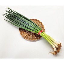 농사꾼아내 국내산 흙대파 1kg, 1개