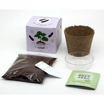 쉬운분갈이 주말농장용 야채모종화분세트 원예취미용 DIY 베란다정원용 재배키트, 1개, 강낭콩