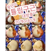 튤립구근-20개or40개/계절과 상관없이 사계절꽃피는 사계튤립은 첨이죠, 20개
