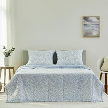 [모던하우스노아 순면 아사 워싱 소프트 차렵이불 Q CV0222046