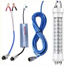 수중 집어등 갈치 볼락 오징어 호래기 낚시, 300W 녹색광 220V/12V 범용