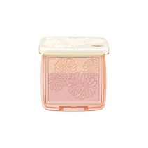 폴 & 조 보테 PAUL & JOE BEAUTE 프레스토 브러쉬 리필 01 스크레도르 5g