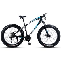 자전거 팻바이크 광폭 바퀴 큰 27 30인치 입문용 MTB, 30단 골드 스포크 휠 24인치
