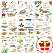 세밀화로 그린 보리 어린이 도감 시리즈 책 동물 흔적 갯벌 곤충 나무 민물 바닷 물고기 버섯 새 식물 양서류 파충류, 식물 도감