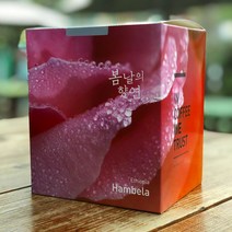 [위트러스트] 드립백 커피 에티오피아 함벨라 Ethiopia Hambela