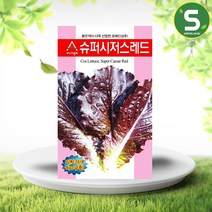 솔림텃밭몰 적로메인상추씨앗 슈퍼시저스레드 1000립 로메인상추, 1개