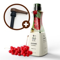 웰파인 더진한 오미자베리농축액 1.5kg + 유니버셜소스펌프, 단품