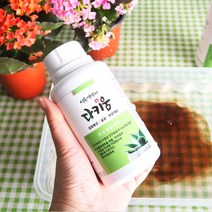 다키움 식물영양제 다육이 영양제 비료, 다키움 250ml