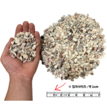 [우야플랜트샵] 고급 천연 희귀자갈 1KG 어항자갈 분갈이 돌 마감재 멀칭 어항바닥재 화분마감재 정원자갈 칼라스톤 테라리움 장식돌 캠핑장 레스토랑 카페