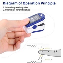 색도계 4색 OLED 디스플레이 의료용 디지털 손가락 맥박 산소 농도계 PR Spo2 심박수 모니터 혈액 포화도, 한개옵션0