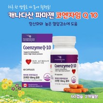 혈압에좋은 영양제 코엔자임 Q10 효능 항산화제 항산화 혈압보조식품 혈압강하, 2개 코엔자임Q10 (4개월분)