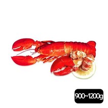 자이언트 킹 랍스터 자이언트킹 점보 랍스터(900g~1200g) 3마리+크래커, 단일옵션