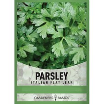 이탈리안 파슬리씨앗 허브 이태리 파슬리 씨 종자, 딜