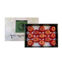 청송 사과 선물용 5kg 13과 14과 16과 18과 선물세트 선물용, 선물용 5kg 14-15과