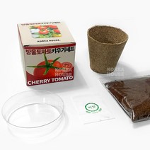 식물키우기 방울토마토 키우기세트 씨앗 베란다 이동식 식물화분