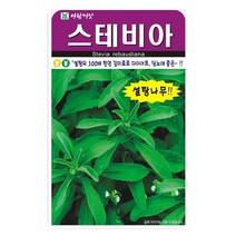 허브씨앗 스테비아 50립 천연감미료 다이어트 효과, 1세트