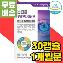 눈 노화 관리 노안 영양제 루테인 지아잔틴 황반 색소 밀도 PTP 개별 포장 알작은 캡슐 블루베리 고르는법 눈에좋은 마리골드 빌베리 식품 BILBERRY 건강 헤마토코쿠스 추출