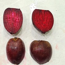 제주 청정 국내산 레드비트 햇비트 하우스 레드비트 2kg/5kg/10kg, 레드비트   2kg / 상 / 300g 내외