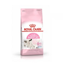 임신 고양이 전용 건식 사료 아기묘 생후 4개월 2kg