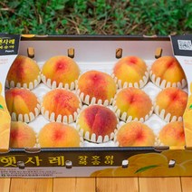 이천 장호원햇사레복숭아 2kg 3kg 감곡 딱딱이 말랑이복숭아 이시도로농원, 1박스, 황도복숭아3kg 10과