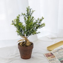 미니 메이플 포트 단풍나무 조화 화분 생화 같은 인조목 인조