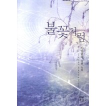 불꽃처럼(인터넷전용상품):신양범재 장편 소설, 뿔미디어, 신양범재 저
