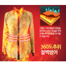 내의 겨울 내복 블라우스 체크 예쁜 골프 여성 방한 명품 등산 남방 셔츠 고급 기모 기모