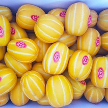 [ 따봉 ] 30년 전통 고당도 성주 꿀 참외 농사짓는 며느리 당도보장 농장직송, 09.참외 가정용흠과 / 특대과 5kg