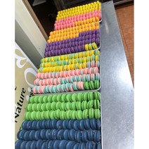 HACCP마카롱납품 뚱카롱납품 수제 마카롱 도매 대량주문 단일 마카롱 160개, 딸기요거트