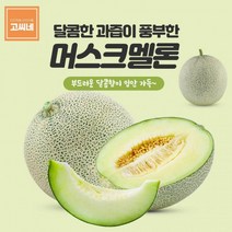 고씨네 특급 멜론3kg 국산메론 멜론종류 멜론과일멜론 멜론가격 머스크멜론 칸탈로프멜론 머스크메론 메론 양구메론 세지메론 메론가격 곡성메론, 본상품, 초심유지 본상품선택