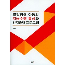 발달장애 아동의 지능수행 특성과 인지중재 프로그램, UUP