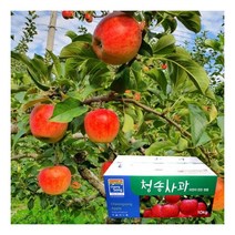 (st푸른농원) 1/12(목)순차출고 껍질째 먹는 주왕산 청송 꿀 사과 세트 10kg 34-36과