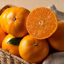 바른팜 [바른팜] 고당도 제주 레드향 2kg 일반포장, 단품없음