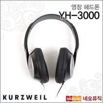 영창 YH-3000, 영창 YH-3000/WH