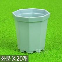 플라스틱 미니 화분 20P - 어린이집 유치원 어린이 식목일 플분 다육 선인장 식물 모종 삽목 인테리어 홈 가드닝 행사 다육이화분