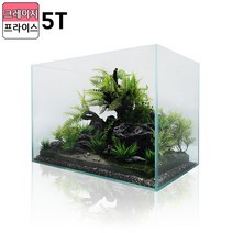 [청룡아쿠아] 36슬림 올디아망 36x22x26cm 5T 초백어항